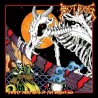 Hot Fog - "Secret Phantasies of the Dragon Sun" (CD)