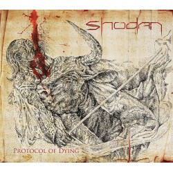 Shodan - "Protocol of...