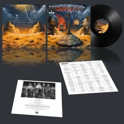 Wings of Steel - "Winds of Time" (LP)